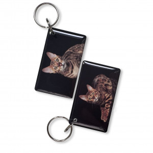 Заготовка ключа для домофона MIFARE MF-3 мини-карта 'Кот' Заготовка ключа для домофона MIFARE MF-3 мини-карта 'Кот'