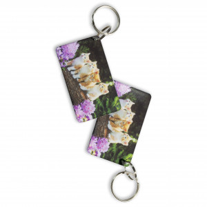 Заготовка ключа для домофона MIFARE ULTRA мини-карта 'Котята' Заготовка ключа для домофона MIFARE ULTRA мини-карта 'Котята'