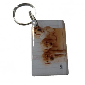 Заготовка ключа для домофона MIFARE ZERO мини-карта 'Собачки' Заготовка ключа для домофона MIFARE ZERO мини-карта 'Собачки'