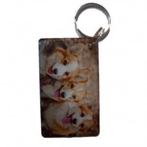 Заготовка ключа для домофона RFID мини-карта 'Собачки' (ассорт) Заготовка ключа для домофона RFID мини-карта 'Собачки' (ассорт)